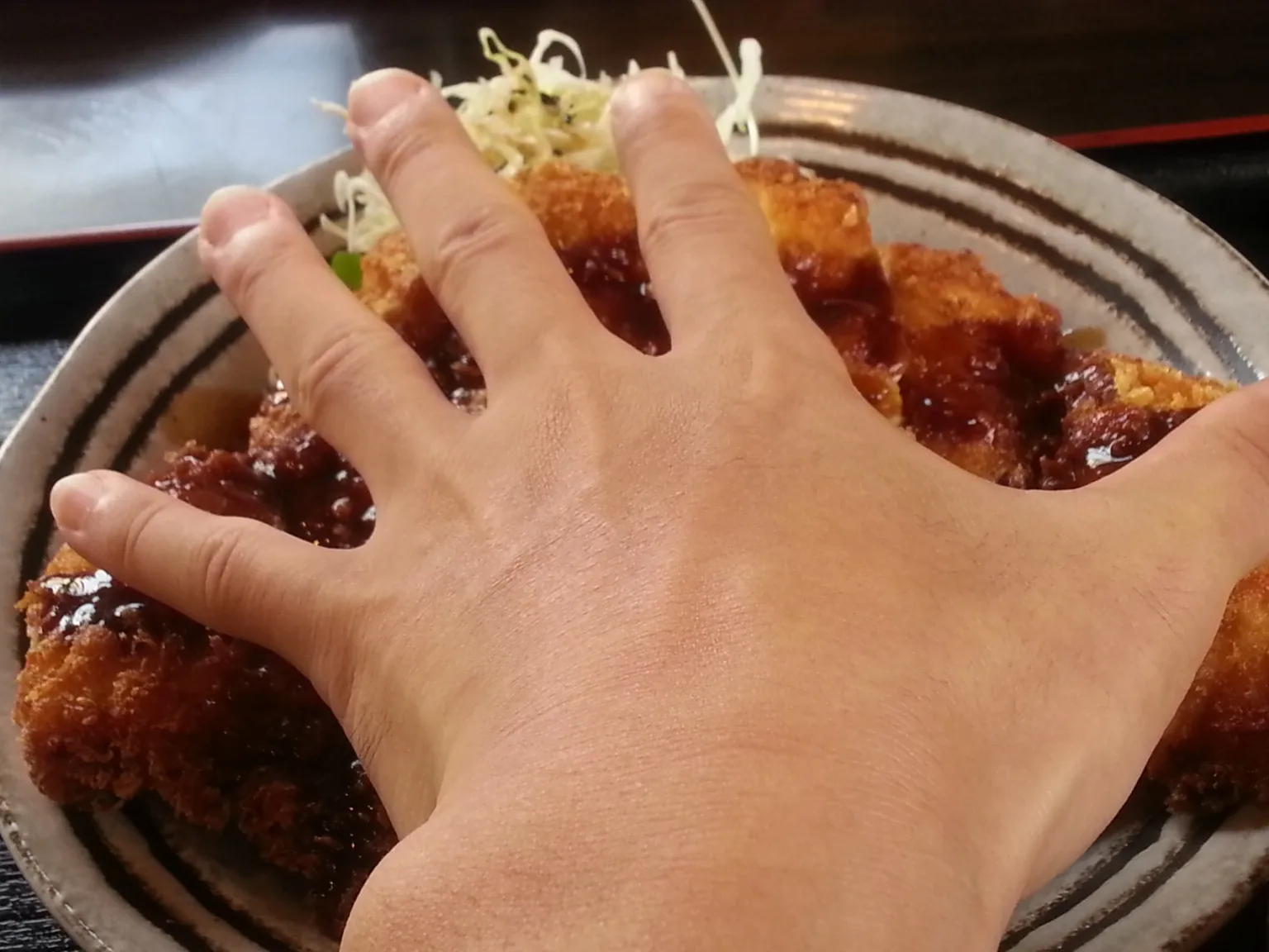 チキンカツの上に手のひらを広げて置き、大きさを比べている